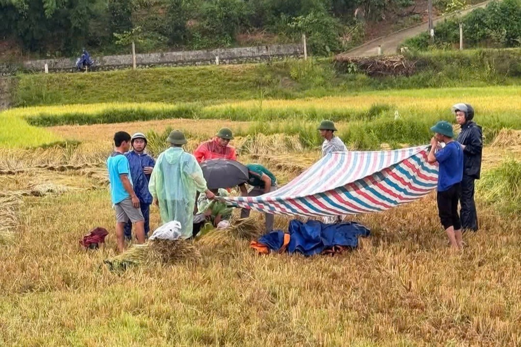 Vừa gặt lúa vừa xem điện thoại, người đàn ông bị sét đánh tử vong - 1 Vừa gặt lúa vừa xem điện thoại, người đàn ông bị sét đánh tử vong
