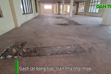 Cận cảnh hoang tàn, nhếch nhác ở khu chợ lớn nhất tỉnh Nghệ An