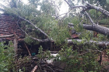 Lốc xoáy đánh tốc mái nhà dân, gãy đổ nhiều cột điện