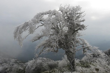 Ngỡ ngàng băng tuyết đẹp “như mơ” ngày đầu năm