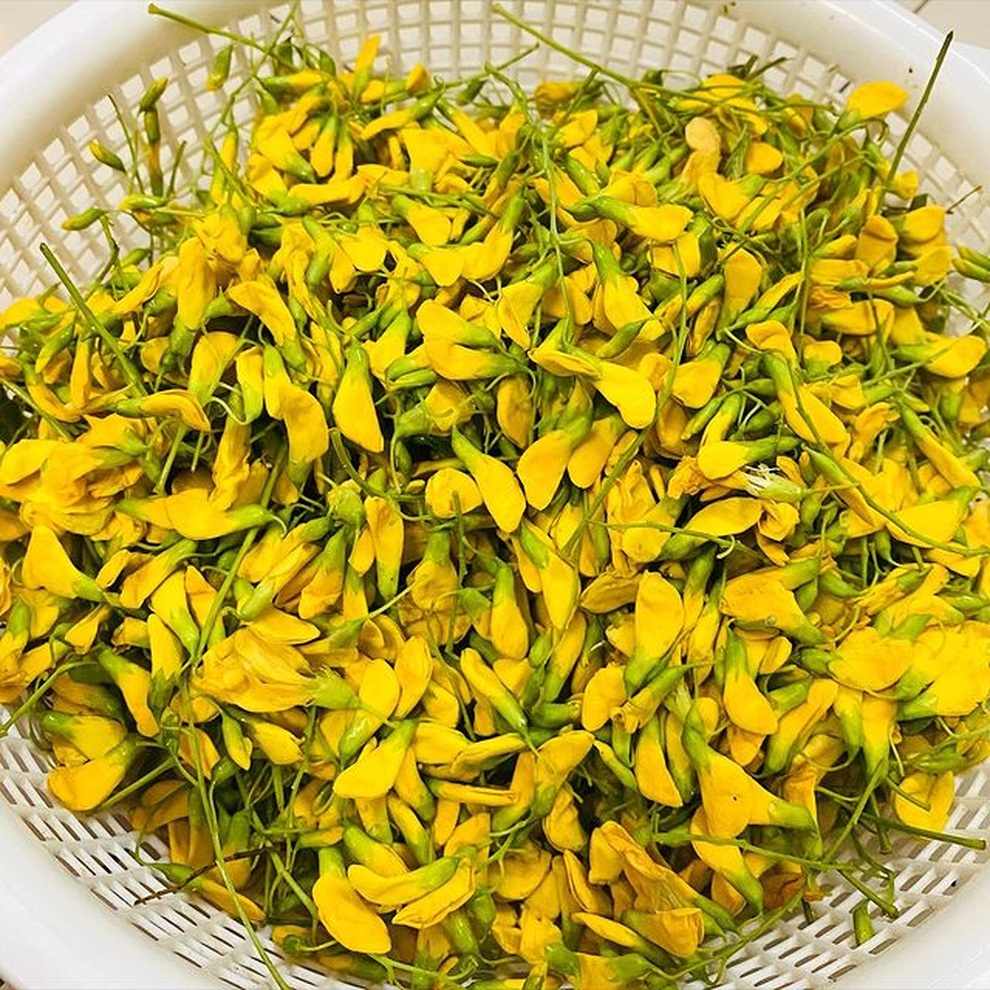 7 loại rau dân dã nhưng ngon khó cưỡng, chỉ có vào mùa nước nổi miền Tây - 1 7 loại rau dân dã nhưng ngon khó cưỡng, chỉ có vào mùa nước nổi miền Tây - 1