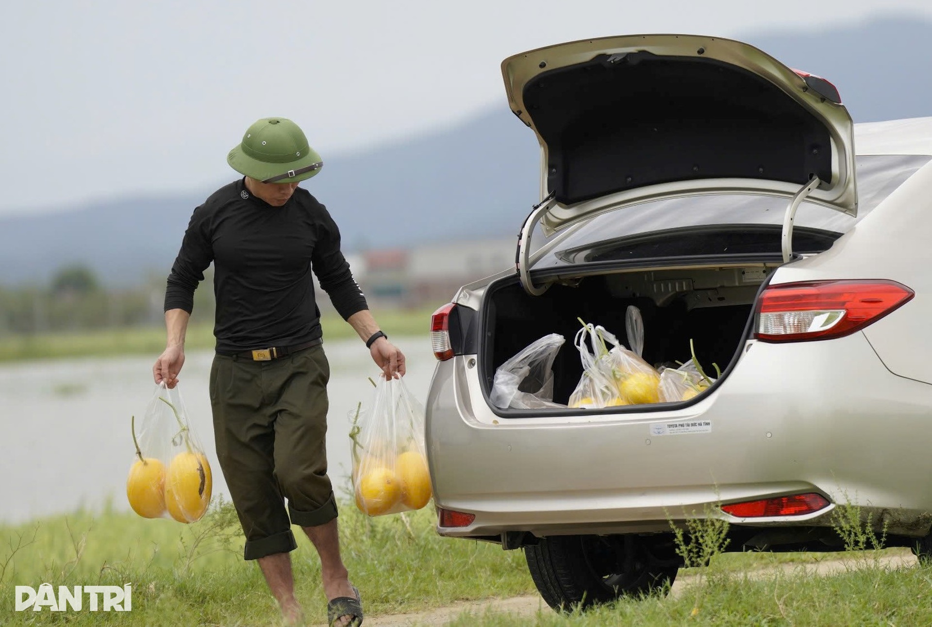 Nhà màng tiền tỷ bị bão Kajiki quật đổ, dân làng lội nước giúp chủ vớt dưa - 11