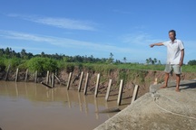Người dân hoang mang "tố" thủ phạm gây sạt lở nghiêm trọng hai bờ sông Hậu