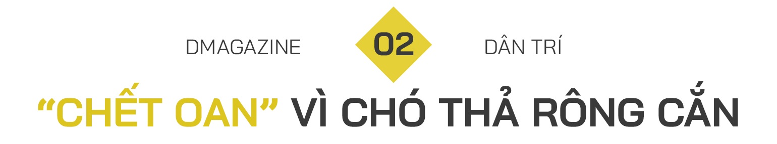 Nhát cắn đoạt mạng: Chết oan vì chó thả rông, thú cưng hóa điên phản chủ - 7 Nhát cắn đoạt mạng: Chết oan vì chó thả rông, thú cưng hóa điên phản chủ - 7