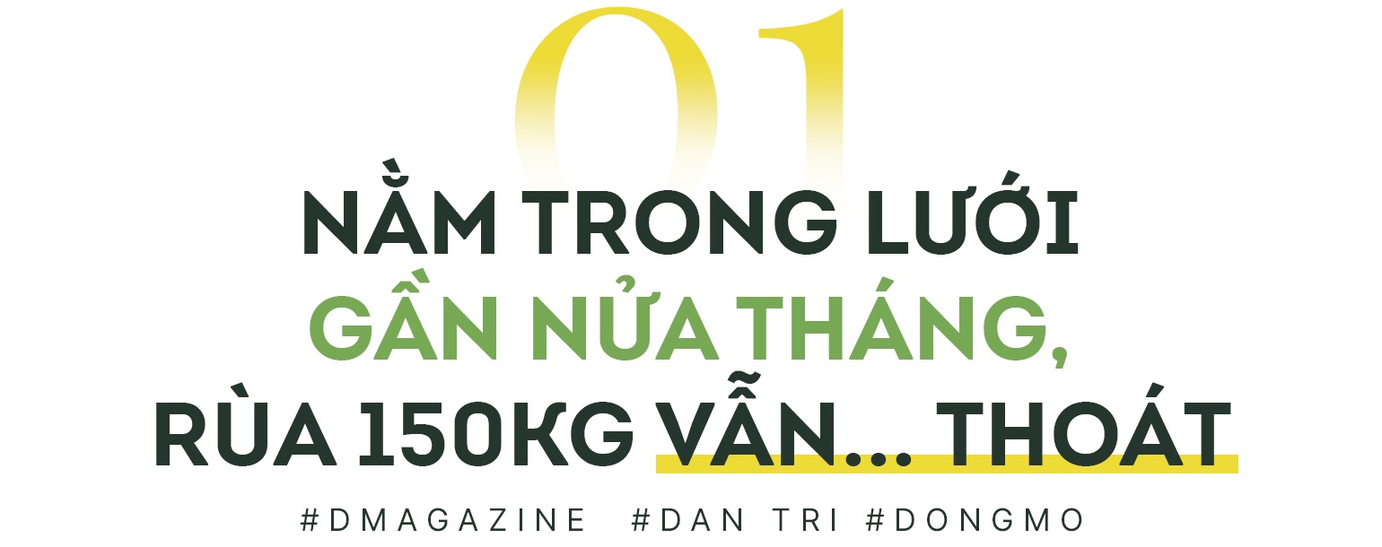 Cá thể rùa 150kg ở Đồng Mô từng dìm thuyền của chúng tôi chúi xuống nước - 1 Cá thể rùa 150kg ở Đồng Mô từng dìm thuyền của chúng tôi chúi xuống nước - 1