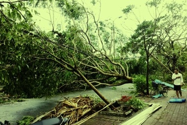 VNPT khẩn trương khắc phục hậu quả bão số 8