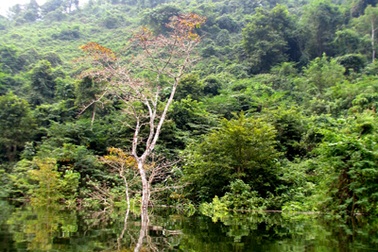 Lối ấy bây giờ