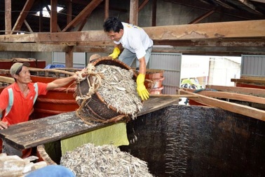 Doanh nghiệp nước mắm truyền thống “nghèo” được miễn phí vào hội chợ