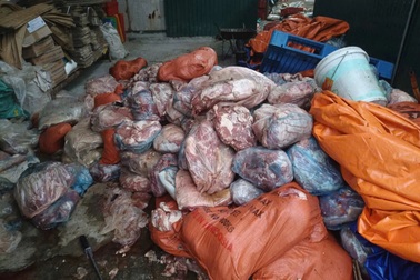 Có tình trạng người dân giấu dịch, bán "chạy" lợn nhiễm dịch tả châu Phi