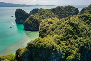Chuyên gia quốc tế hiến kế để Cát Bà phát triển sinh thái bền vững