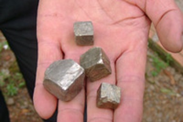 Dân xới tung rừng tìm “đá đen”