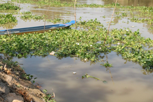 Cứu chó con rớt xuống ao, hai chị em đuối nước thương tâm
