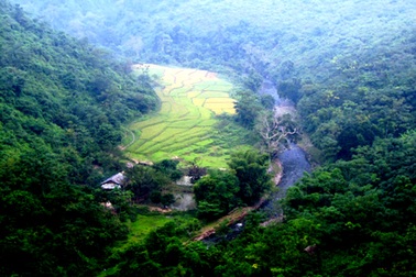 Chiêm ngưỡng vẻ đẹp đồng lúa rẻo cao xứ Nghệ 