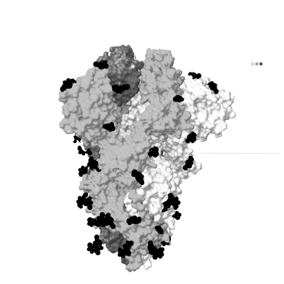 Cấu trúc của virus SARS-CoV-2 cho biết điều gì về điểm mạnh yếu của nó? - 3 Cấu trúc của virus SARS-CoV-2 cho biết điều gì về điểm mạnh yếu của nó? - 3