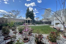 Choáng ngợp vườn hoa lê đẹp như tranh của gia đình Việt ở Mỹ