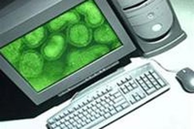 Virus tấn công mạnh vào các dữ liệu nhạy cảm