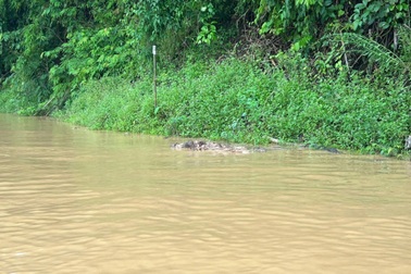 Phát hiện 2 thi thể nổi trong hồ thủy điện Hủa Na