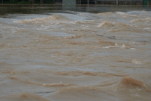 Nước lũ cuồn cuộn nhấn chìm cầu tràn, người dân vẫn liều mình bắt cá