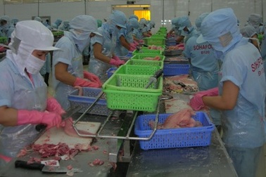 Thủy sản Sông Hậu trở lại hoạt động sau 3 tháng đóng cửa