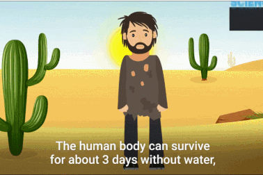 Làm cách nào để tìm thấy nước khi bạn bị mắc kẹt ở sa mạc?