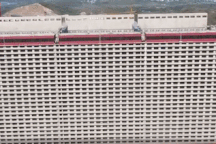 Tòa nhà 26 tầng xây cho... đàn lợn hàng nghìn con ở