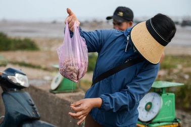 "Xông biển" chuyến đầu năm, ngư dân kiếm tiền triệu