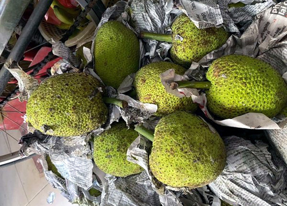 Quả lạ miền Tây tràn ra Hà Nội: Ngoài trông như mít, trong lại giống khoai - 2 Quả lạ miền Tây tràn ra Hà Nội: Ngoài trông như mít, trong lại giống khoai - 2