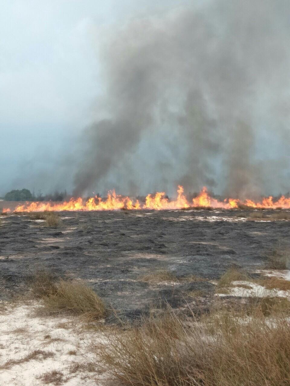 Cả trăm người 3 giờ căng mình khống chế đám cháy rừng - 2