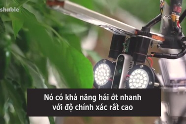Robot hái ớt siêu nhanh, biết "bắt bệnh" và dự đoán sản lượng