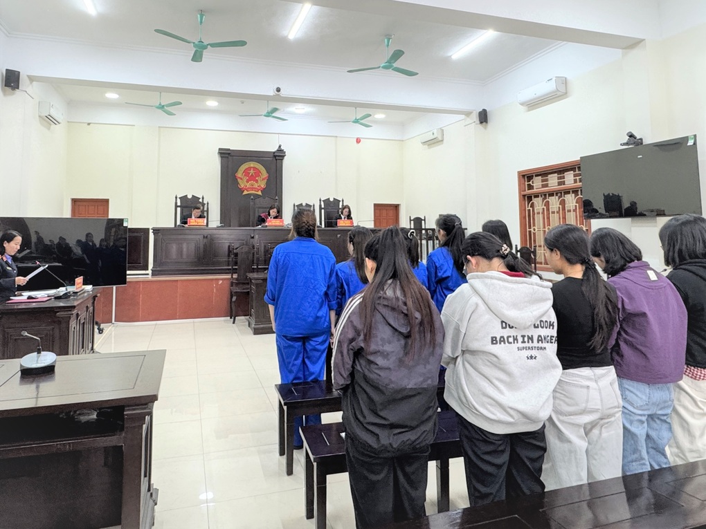 10 nữ quái tổ chức đường dây mang thai hộ, dịch vụ trọn gói từ A đến Z - 2