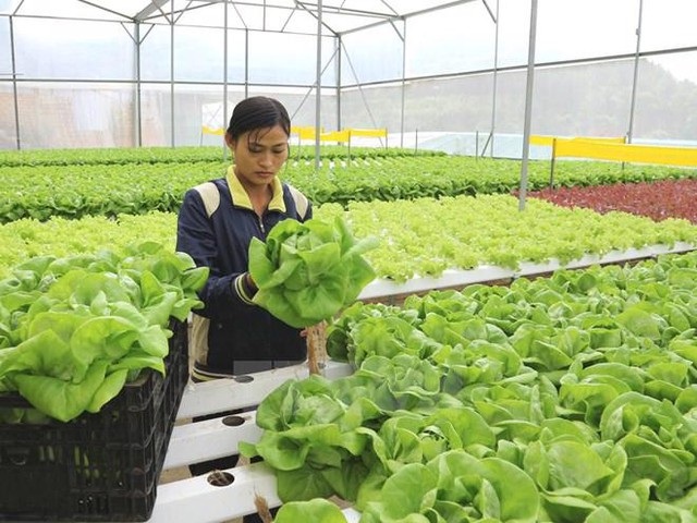 nong nghiep.jpg nong nghiep.jpg
