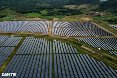 Ba dự án điện mặt trời "dính" vi phạm ở Khánh Hòa
