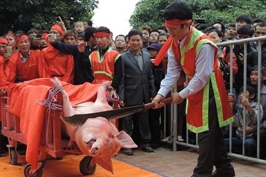 Giữ nguyên tục "chém lợn" ở giữa sân đình