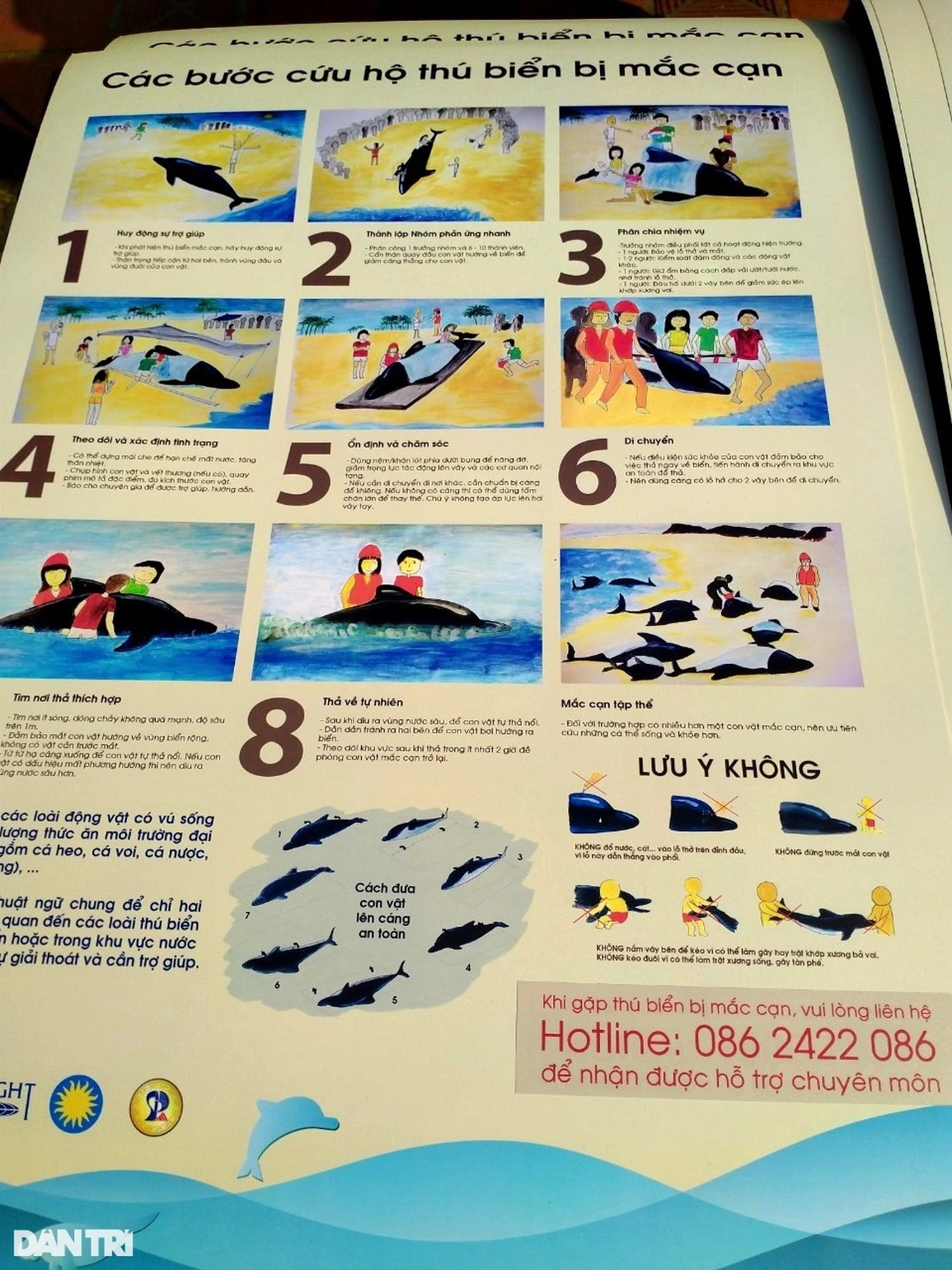 Nghệ thuật lên tiếng bảo vệ môi trường - 8 Nghệ thuật lên tiếng bảo vệ môi trường - 8