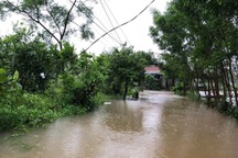 Người đàn ông tử vong vì vướng vào dây điện bị đứt giữa lúc mưa lũ