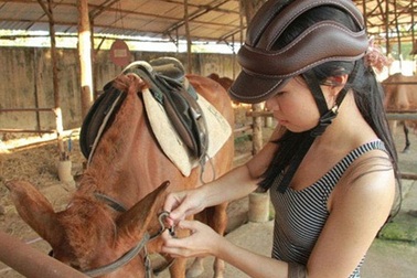 Bạn trẻ Sài thành rủ nhau học cưỡi ngựa