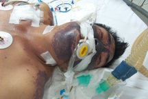 Lại tử vong vì liên cầu lợn do ăn tiết canh