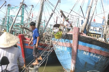 Quy rõ trách nhiệm khi dự báo thiên tai sai gây thiệt hại lớn