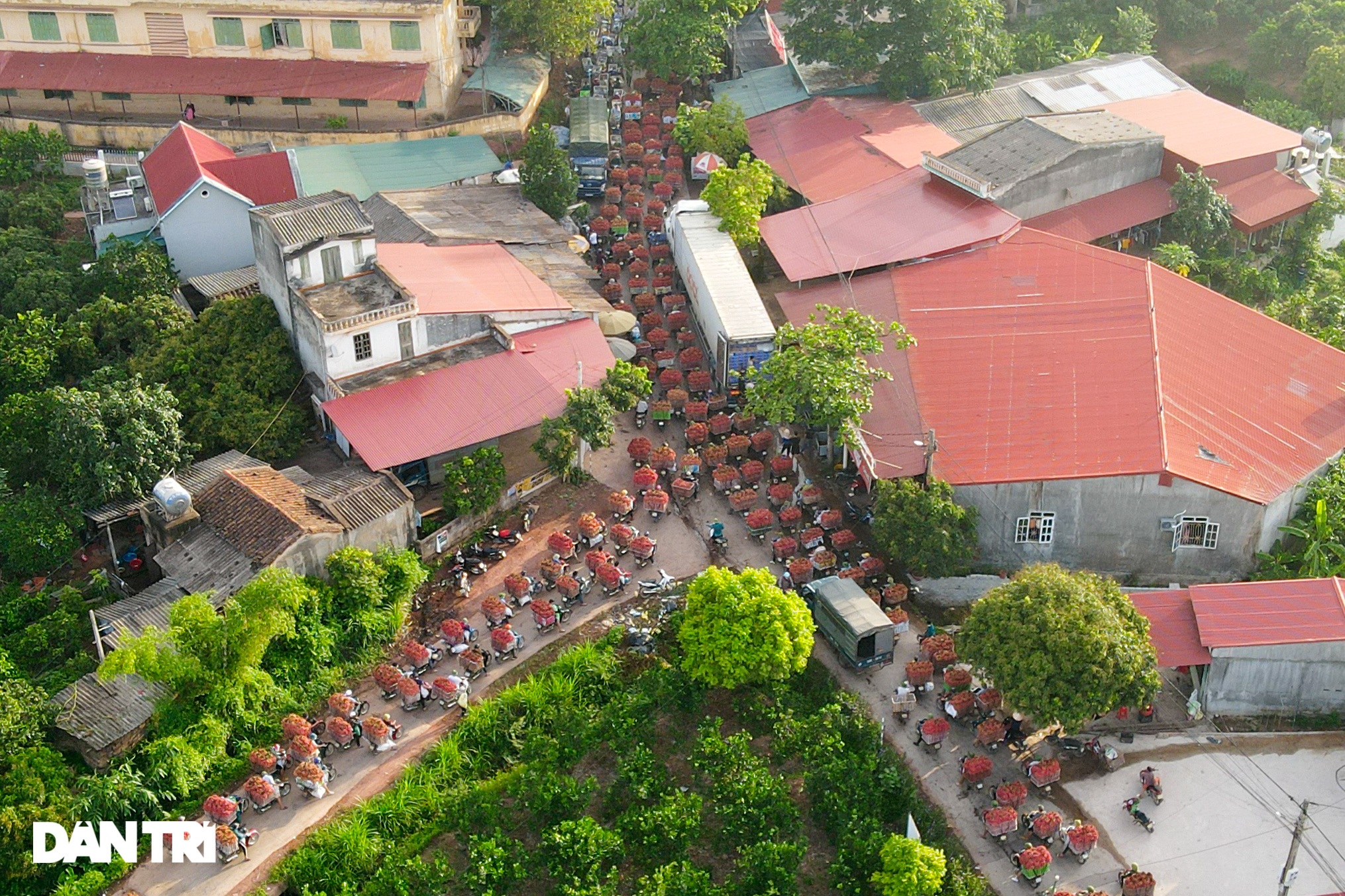 Bắc Giang: Xe chở vải thiều nối đuôi nhau dài hàng cây số ra các trạm cân - 4 Bắc Giang: Xe chở vải thiều nối đuôi nhau dài hàng cây số ra các trạm cân - 4