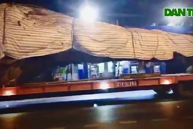 Cận cảnh xe chở cây cổ thụ "siêu khủng"