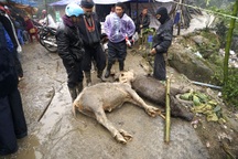 Ngành ngân hàng giãn nợ, miễn giảm lãi cho nông dân