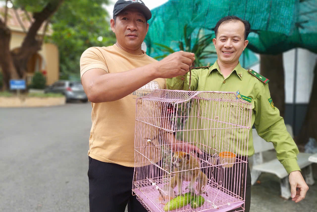 Cu li quý hiếm xuất hiện trong vườn nhà dân ở TPHCM - 1