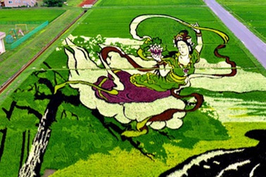 Trầm trồ trước những cánh đồng đầy sáng tạo của xứ Mặt trời mọc