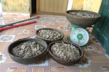 Hà Nam: Đào đất xây bể nước, phát hiện hũ tiền cổ hơn 50 kg 