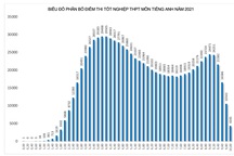 Bộ GD-ĐT cần giải thích vì sao phổ điểm môn Tiếng Anh có 2 đỉnh?