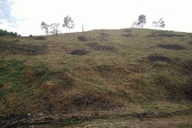 Thanh Hóa: Chặt phá, chuyển đổi đất rừng tràn lan!