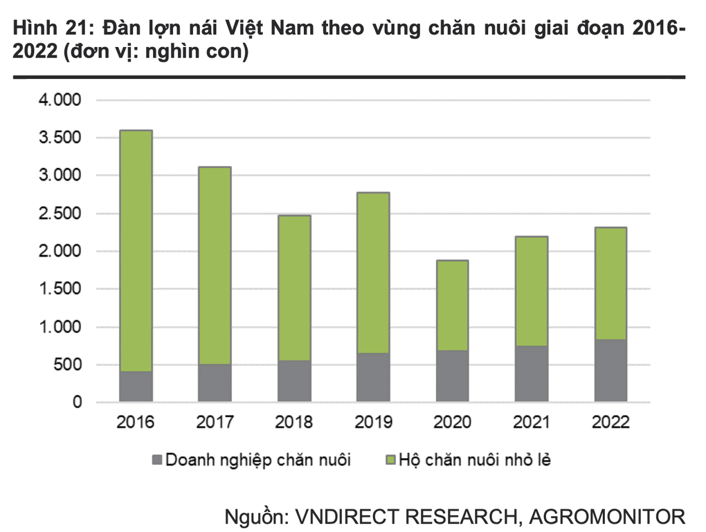 Thêm thương hiệu heo ăn chay, cuộc đua thịt heo sạch ngày càng khốc liệt - 1 Thêm thương hiệu heo ăn chay, cuộc đua thịt heo sạch ngày càng khốc liệt - 1