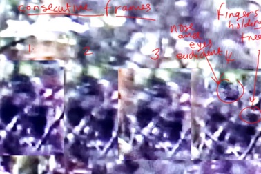 Tìm thấy "quái vật Bigfoot" ở Anh