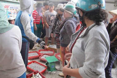 Khởi động kế hoạch ngăn ngừa ô nhiễm tại điểm nóng Âu thuyền, Thọ Quang