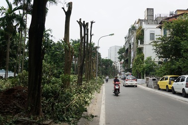 "Không thể lấy mùi hoa sữa để khử mùi cho bãi rác Nam Sơn"